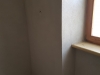 20170325_124324 (1)