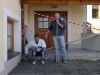 Zubau außen