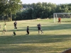 Sportfest 2013