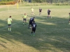 Sportfest 2013