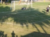 Sportfest 2013