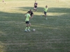 Sportfest 2013