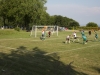Sportfest 2013