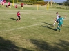 Sportfest 2013
