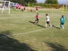 Sportfest 2013