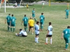 Sportfest 2014